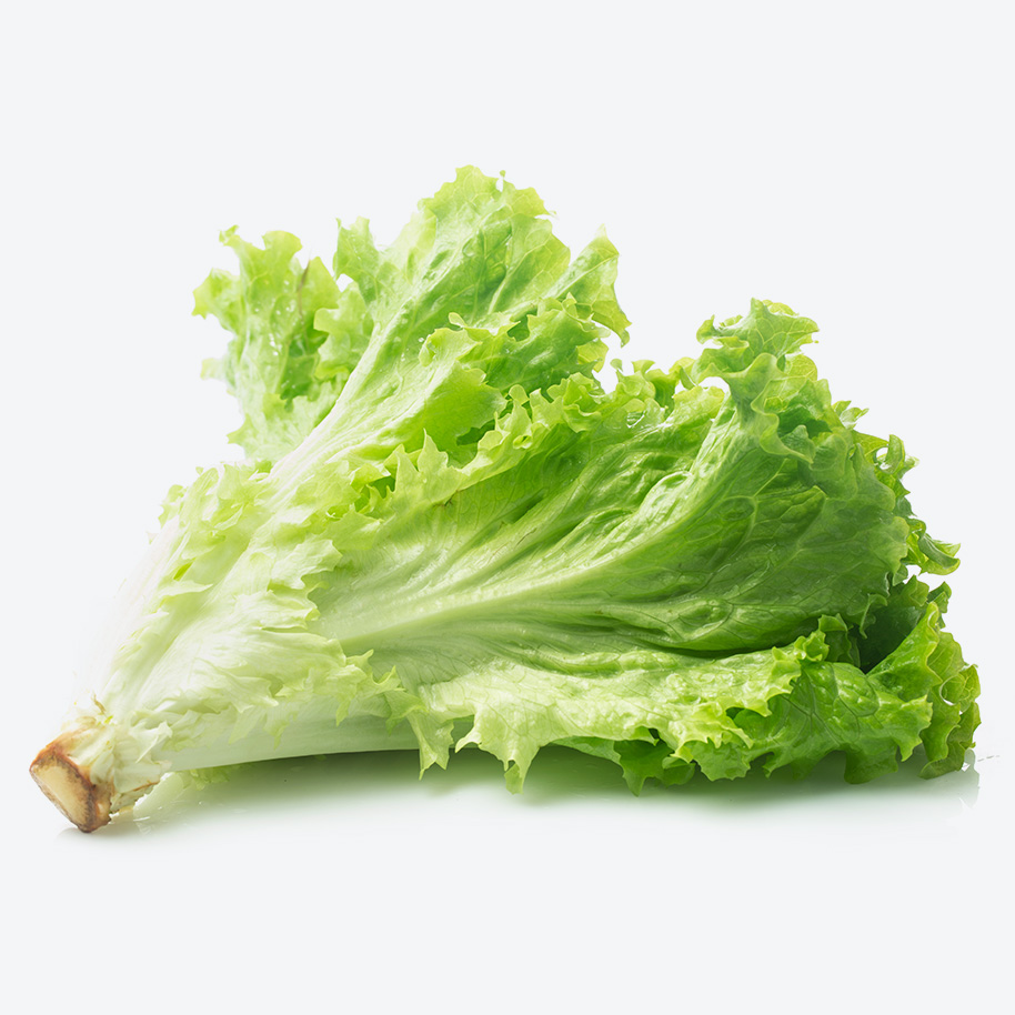 Lettuce - Imagen 2