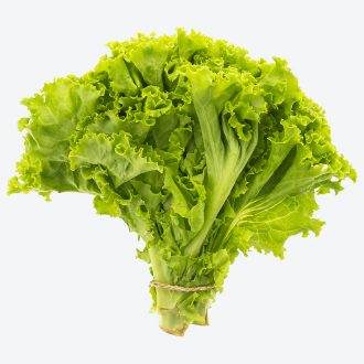 Lettuce