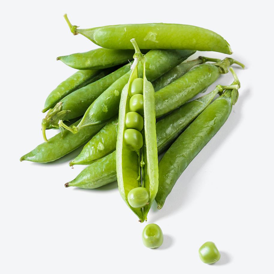 Pea